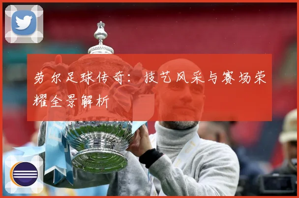 劳尔足球传奇：技艺风采与赛场荣耀全景解析